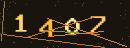 확인번호