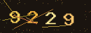 확인번호