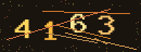 확인번호
